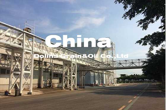 180TPH散裝粕庫設(shè)備及其棧橋、塔架安裝項(xiàng)目?